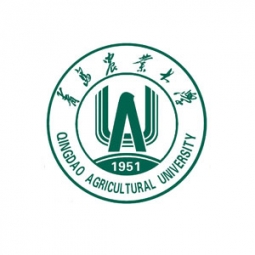青島農(nóng)業(yè)大學藝術學院