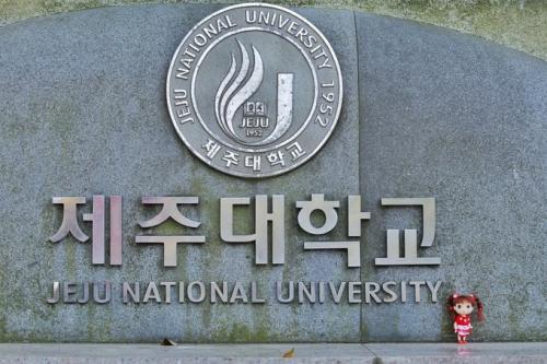 濟州耽羅大學(xué)