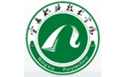 寧夏職業(yè)技術(shù)學(xué)院實用工藝美術(shù)系