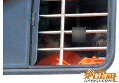 李天一系首個施暴者 受害人楊佳資料照片及現(xiàn)狀