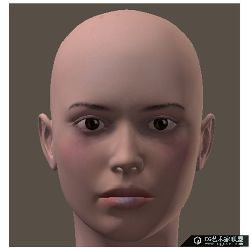 poser2014進階教程之素材庫的管理