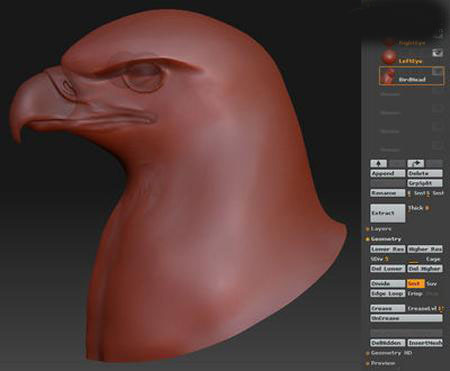 ZBRUSH制作鳥羽毛效果解析 納金網(wǎng)