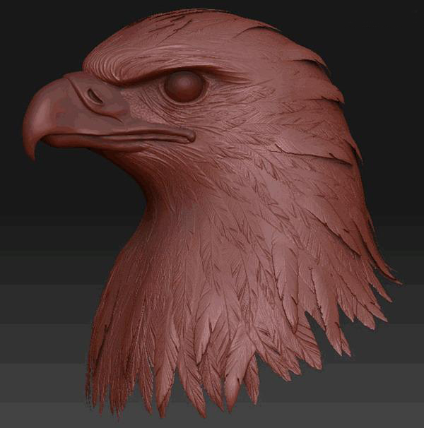ZBRUSH制作鳥羽毛效果解析 納金網(wǎng)