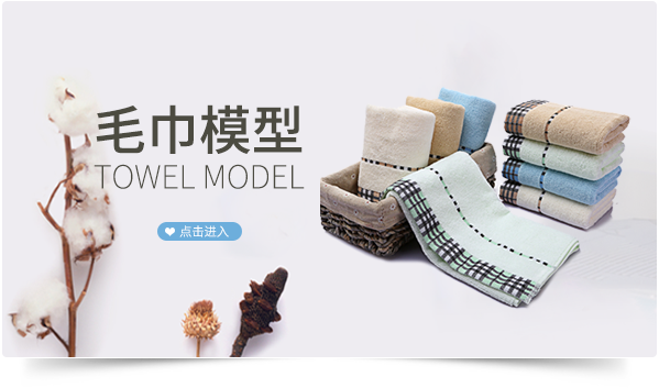 這期的數(shù)據(jù)集是毛巾模型，數(shù)據(jù)未預(yù)處理。